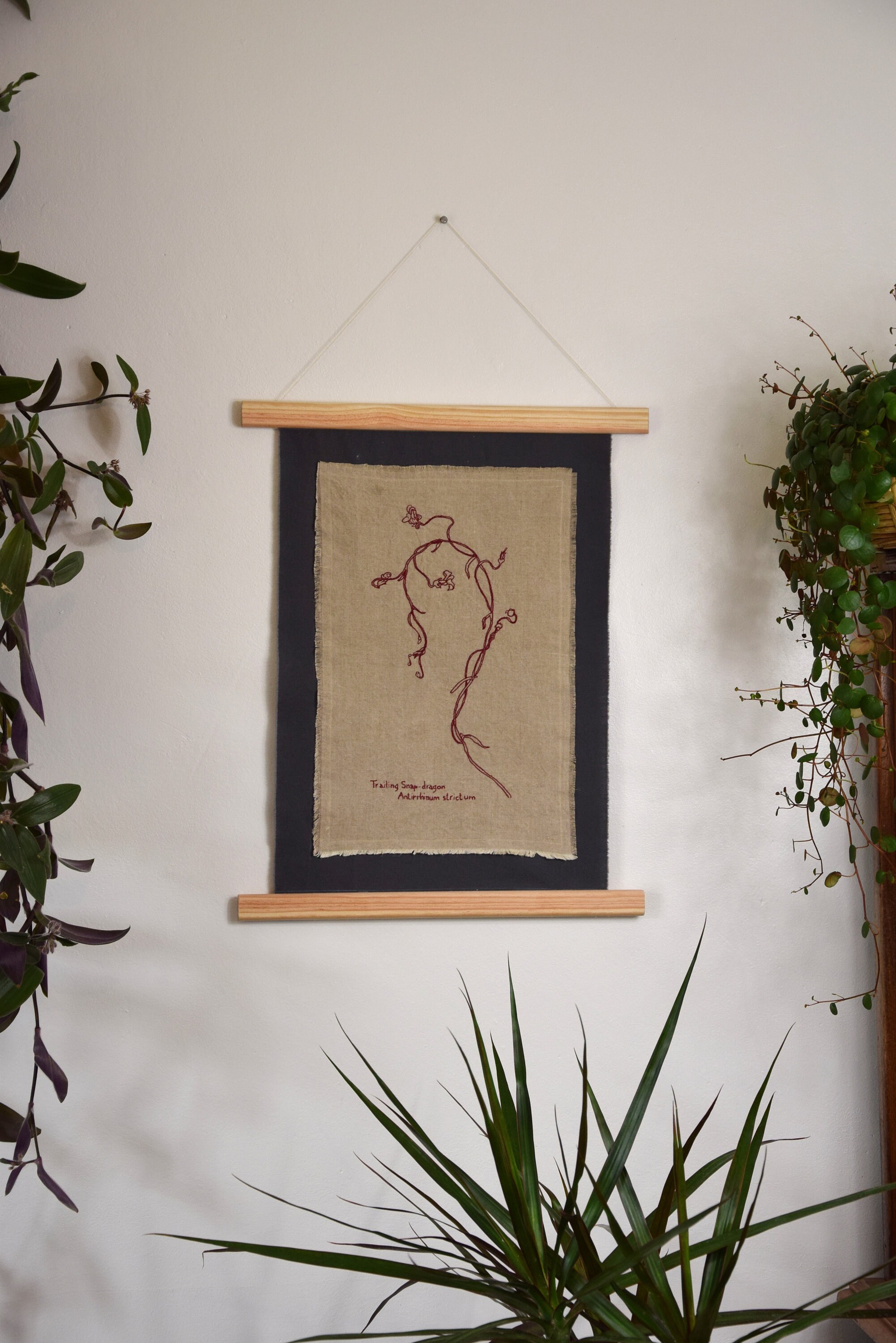 Broderie Affiche Botanique d'après Une Illustration de Margaret Neilson Armstrong