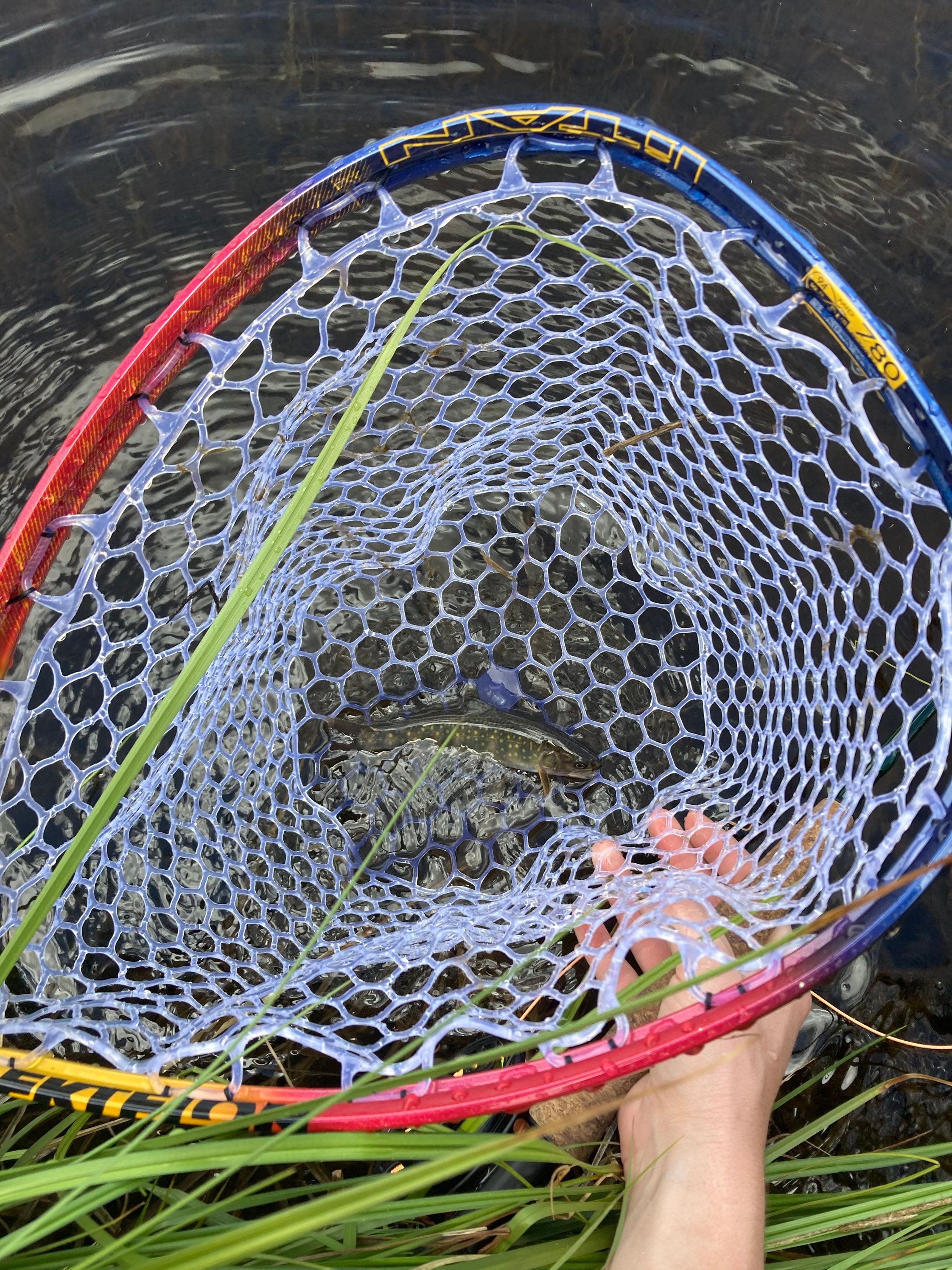 Fly Fishing Landing Net 