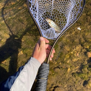 Fly Fishing Nets 