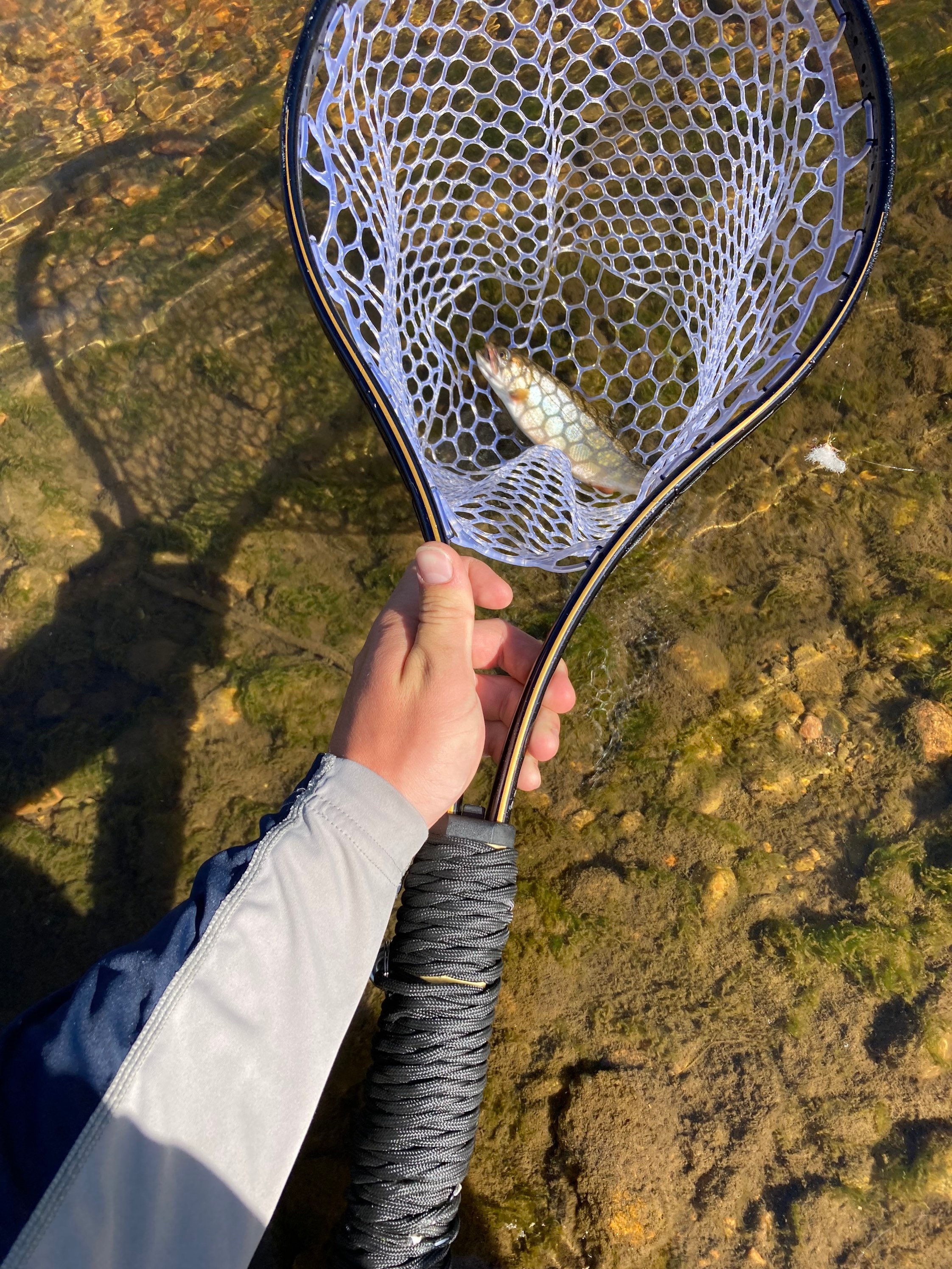 Vintage Aluminum Trout Fly Fishing Landing Net 20 1/2 Long Blue Net 