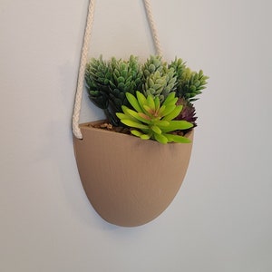 Sukkulenten Wand Töpfer aus Holz