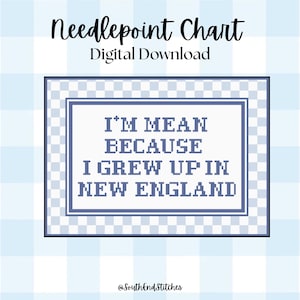 Schema digitale per ricamo a punto croce di Noah Kahan / Modello per ricamo a punto croce New England / Tela a 18 o 13 maglie