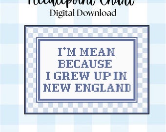 Schema digitale per ricamo a punto croce di Noah Kahan / Modello per ricamo a punto croce New England / Tela a 18 o 13 maglie