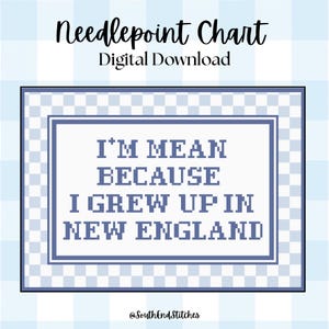 Noah Kahan digitale borduurpatroon | New England borduurpatroon | 18 of 13 mesh canvas