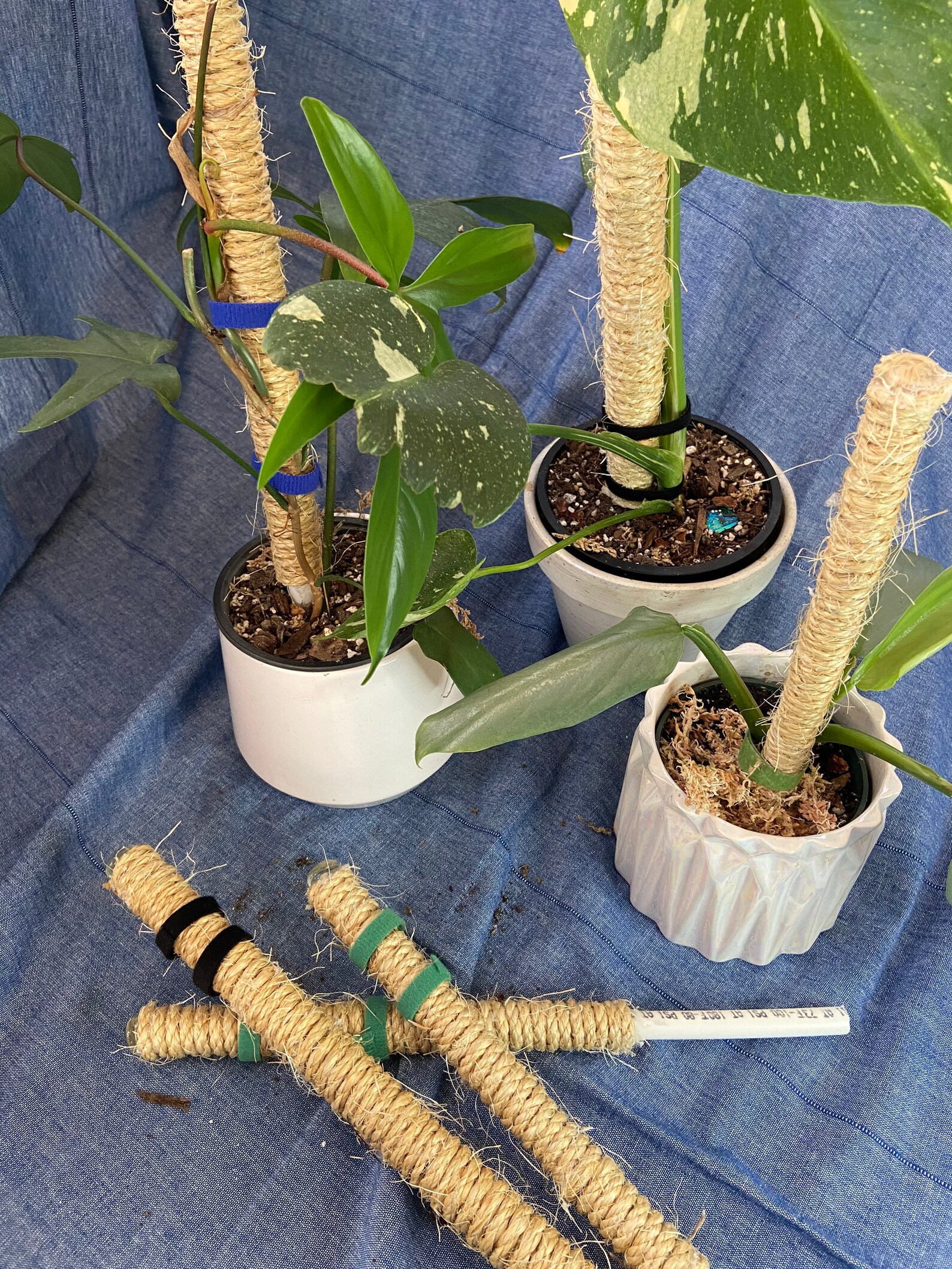 Jute Poles Houseplant Support Pole Climbing plants Tropical Etsy