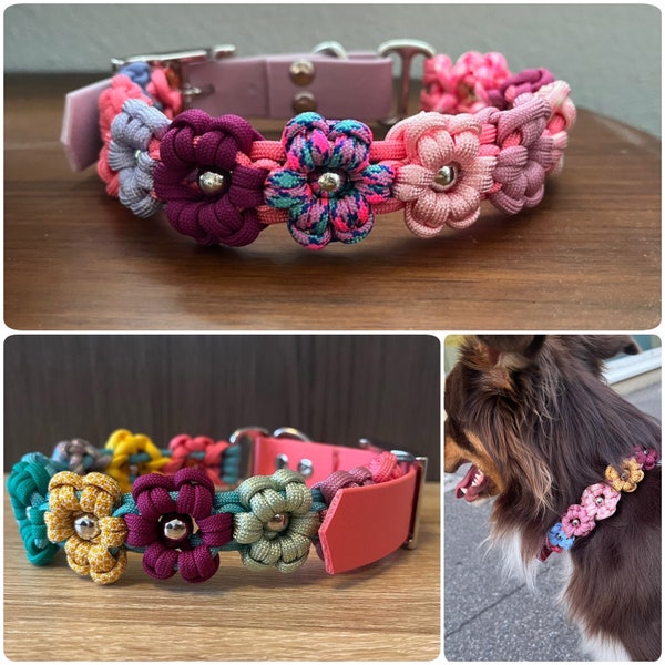 Collier Chien Fleurs Paracorde