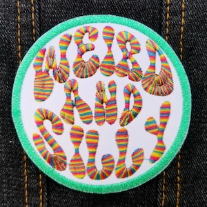 Weird and Silly 3.5&quot; inch Iron On/Sew On Embroidered Patch with Groovy Rainbow Lettering
