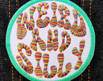 Weird and Silly 3.5" inch Iron On/Sew On Embroidered Patch with Groovy Rainbow Lettering