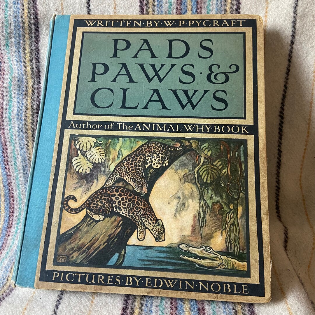 RARE Antique Book Pads Paws and Claws Pycraft Illustrated by Etsy