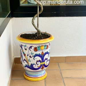 May include: A white ceramic planter with a yellow rim and intricate blue and gold floral designs. The planter is filled with soil and a small tree with a twisted trunk.