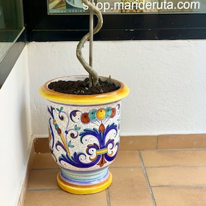 May include: A white ceramic planter with a blue, yellow, and green floral design. The planter has a round base and a wide, round opening. The planter is filled with dark brown soil and a small green plant is growing out of the soil.
