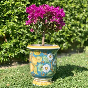 Anduze vase Sorrento