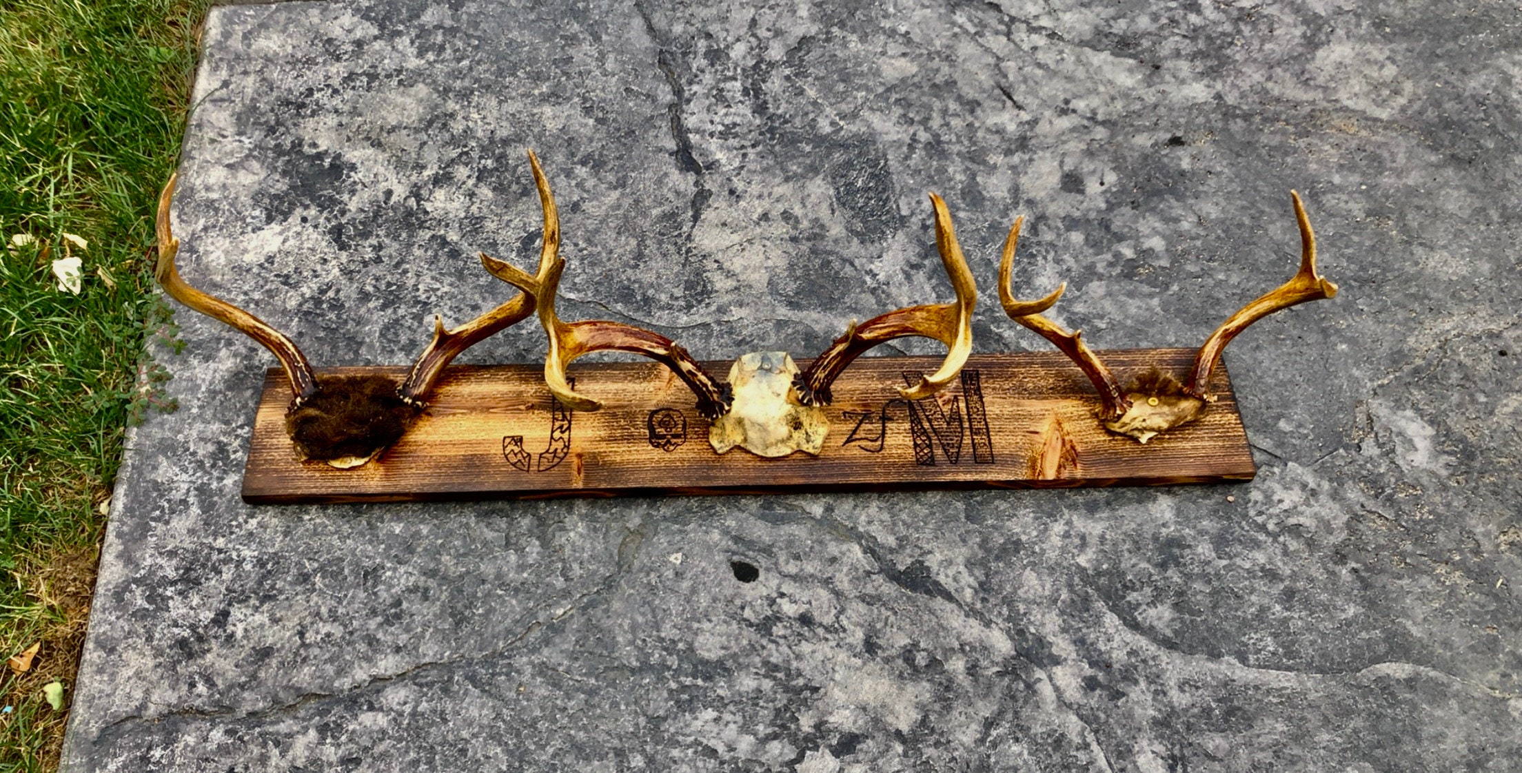 Deer and Elk Antler Home Decor Etsy UK