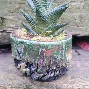 May include: A small succulent plant in a decorative, textured pot. The pot has a camouflage-like design with green, red, and black colors. The plant has green, pointed leaves. The pot is sitting on a wooden surface.