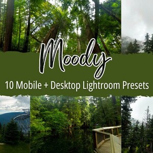 10 Moody Mobile Lightroom Presets | Adobe Lightroom Presets | Instant Download | Mobile & Desktop Presets | Forest Presets | Green Presets