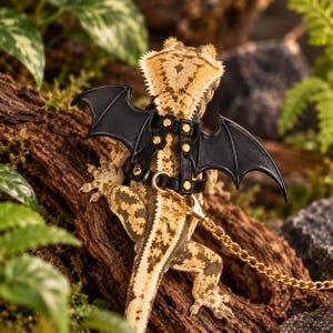 Cute Bat Wing Gecko Harness with Leash, Adjustable Reptile Costume, Black Wings for Lizards & Small Pets