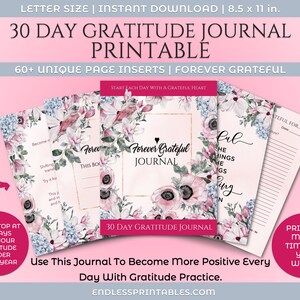 30 Day Gratitude Journal Printable | Mindfulness | Grateful Planner  | Instant Download PDF Inserts | Daily Gratitude Inserts | Positivity