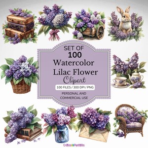 Watercolor Lilac Clipart Purple Floral Spring Clip Art Botanical Illustrations, Wedding Clipart, Lilac PNG, Digital Floral Art, Floral PNG