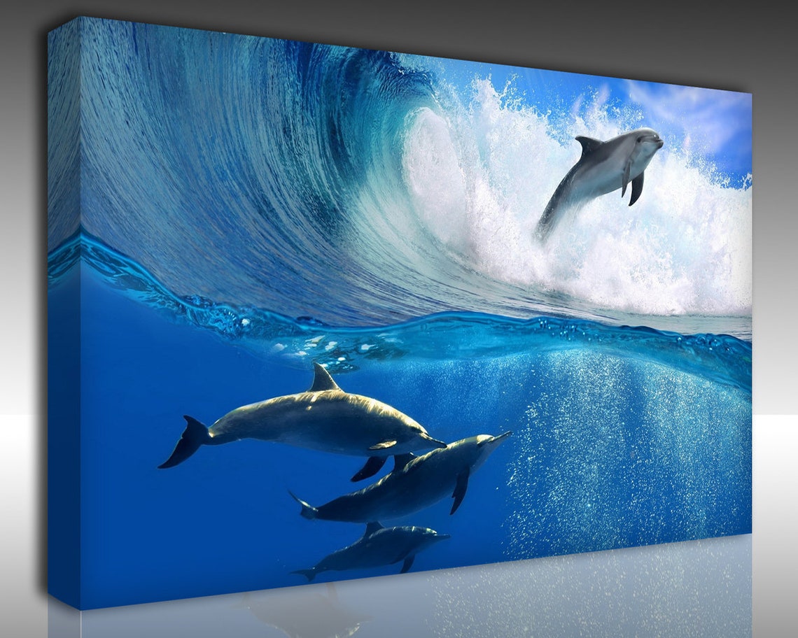 smart wall art dolphin on canvas smart wall art dolphin on canvas