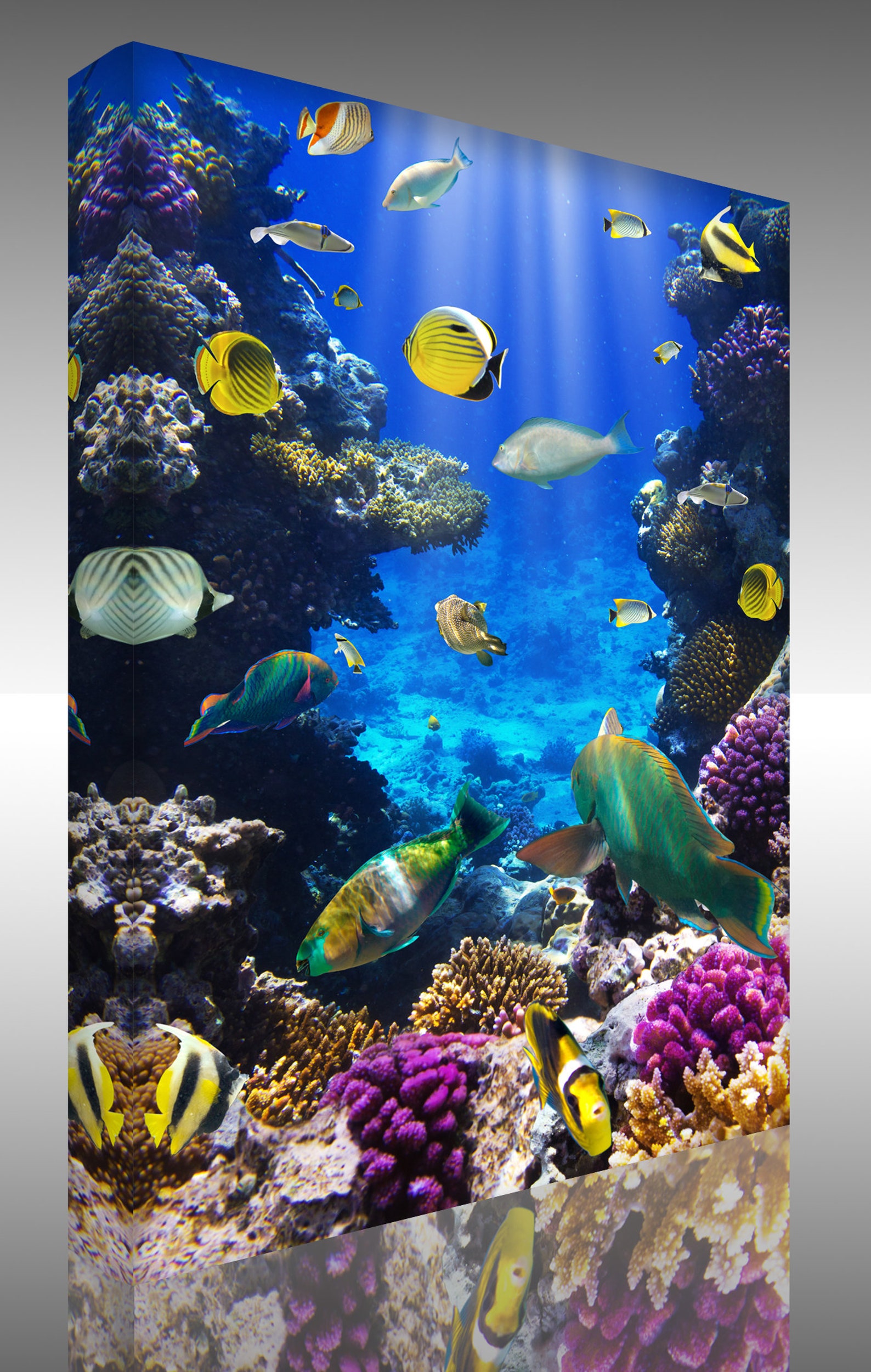 Aquarium Canvas Fish Underwater Wall Art Cool Wall Art Coral Etsy