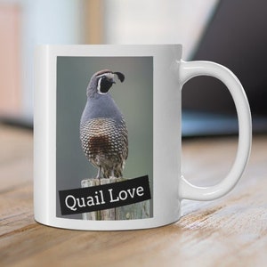 Desert Quail Coffee Mug | California Quail Coffee Mug | Arizona Quail Mug | California Quail Lover Gift Idea | Fun Desert Quail Mug Gift