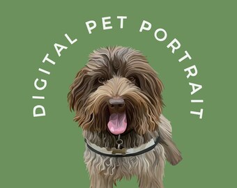 custom dog products