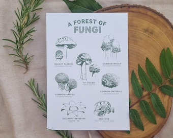 Forest of Fungi A5 Art Print // Sage Green Mushroom Art Print, A5 Digital Illustration, Woodland Wall Decor, Cottagecore, Nature, Earth love