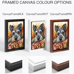 May include: Framed canvas art featuring a Schnauzer dog resting on a pillow. The artwork is available with black, white, and brown frames. The text at the top reads "FRAMED CANVAS COLOUR OPTIONS".