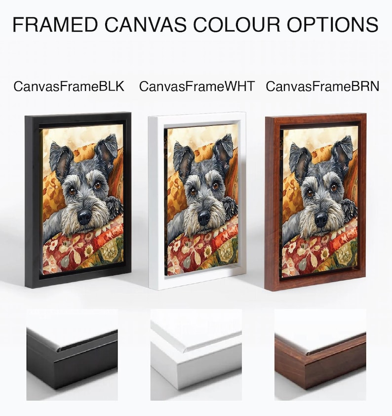 May include: Framed canvas art featuring a Schnauzer dog resting on a pillow. The artwork is available with black, white, and brown frames. The text at the top reads "FRAMED CANVAS COLOUR OPTIONS".