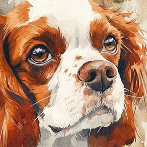 May include: Watercolor painting of a Cavalier King Charles Spaniel dog. The dog has brown and white fur, with large brown eyes and a brown nose. The artwork has a soft, painterly style with a neutral background.