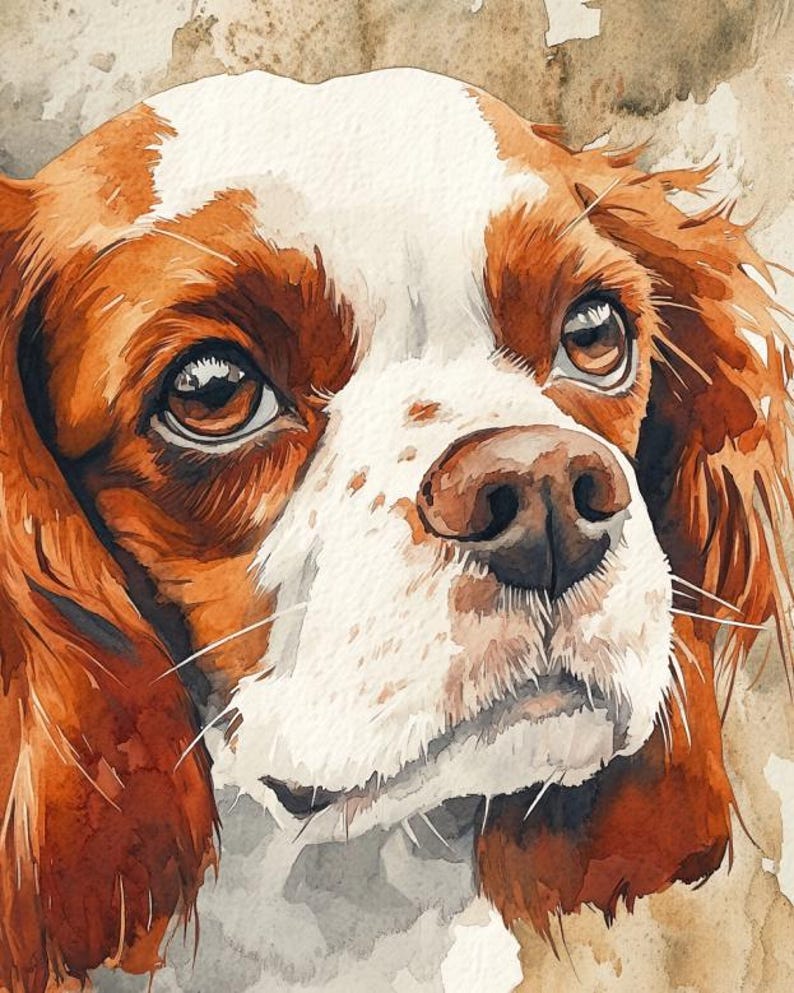 May include: Watercolor painting of a Cavalier King Charles Spaniel dog. The dog has brown and white fur, with large brown eyes and a brown nose. The artwork has a soft, painterly style with a neutral background.