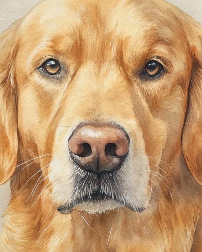 May include: Close-up watercolor painting of a Golden Retriever dog's face. The dog has brown eyes, a pink nose, and a white and gray muzzle. The fur is a light golden color, with detailed brushstrokes. The image is a portrait.