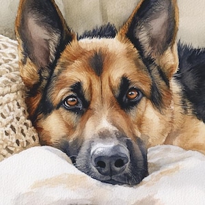 May include: Watercolor painting of a German Shepherd dog with brown and black fur, resting on a white blanket and a beige knitted pillow. The dog has brown eyes and is looking directly at the viewer.