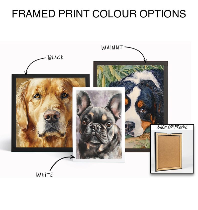 May include: The image showcases framed dog portraits in black, walnut, and white frames. The portraits feature a golden retriever, a French bulldog, and a Bernese Mountain Dog. The text at the top reads "FRAMED PRINT COLOUR OPTIONS."