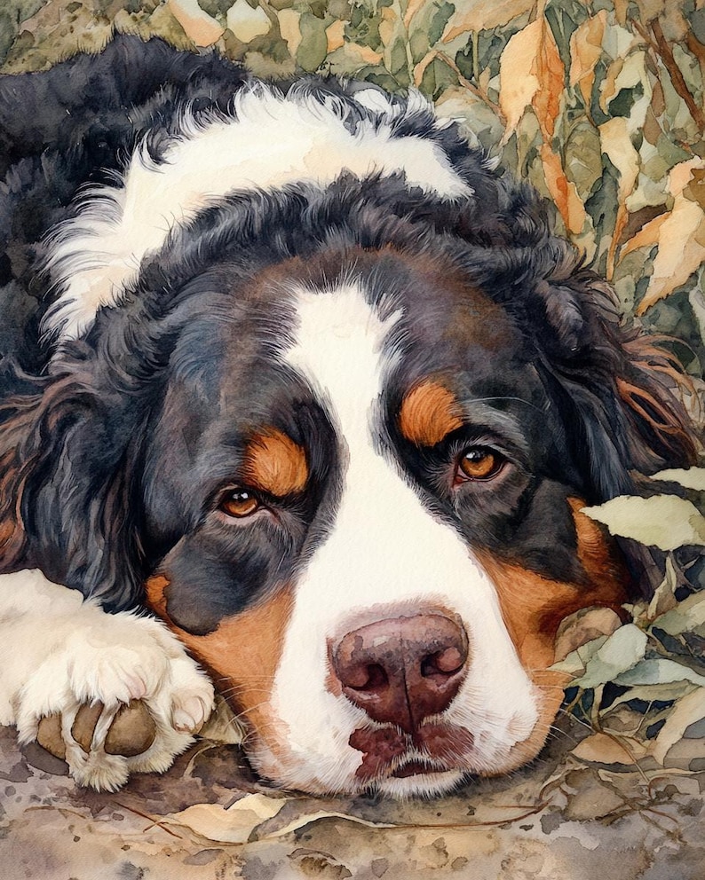 May include: Watercolor painting of a Bernese Mountain Dog lying down, with a soft, expressive gaze. The dog's fur is a mix of black, white, and brown, with detailed brushstrokes. The background features muted green and brown foliage, creating a naturalistic scene.