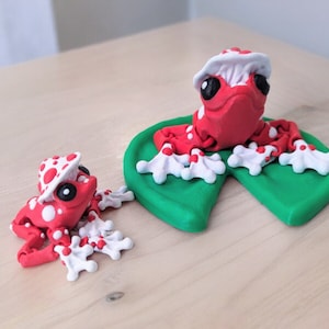 Frog fidget toy, desk pet mini 3d animal, mushroom gifts for women, desk accessories for men, flexi animal, work bestie gift, dorm decor for