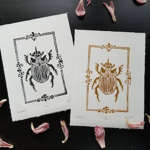 Ornate Framed Beetle Print ~ Original Art ~ Linocut Print ~ Hand Carved ~ Entomology