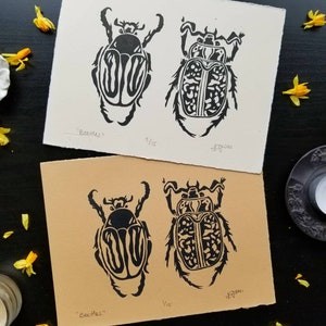 Beetles Print ~ Original Art ~ Linocut Print ~ Hand Carved ~ Entomology