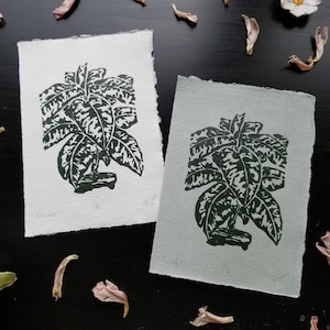Foliage Plant Print ~ Original Art ~ Linocut Print ~ Hand Carved ~ Khadi Paper
