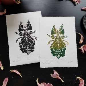 Puede incluir: Dos impresiones en blanco y negro de un insecto hoja, una con una superposición verde y amarilla. Las impresiones están en papel blanco y tienen el texto "Leaf Insect" y "Lost Insect" impreso debajo de las imágenes.