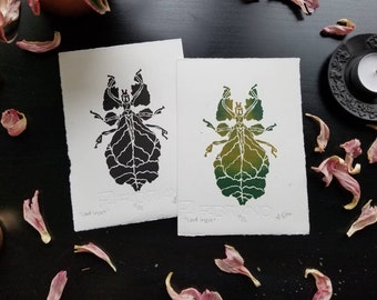 Leaf Insect Print ~ Original Art ~ Linocut Print ~ Hand Carved ~ Entomology