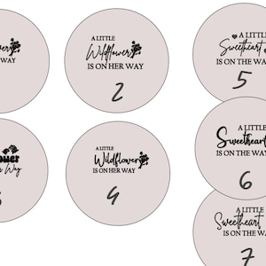 May include: Seven round, light gray, wooden discs with black text and a small floral design. The text on the discs reads "A little Wildflower is on her way" and "A little Sweetheart is on the way". Each disc is numbered 1 through 7.