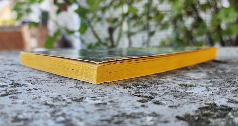 May include: A book with yellow-edged pages. The cover of the book is visible, with a dark image. The book rests on a textured, grey surface, with a blurred green background.