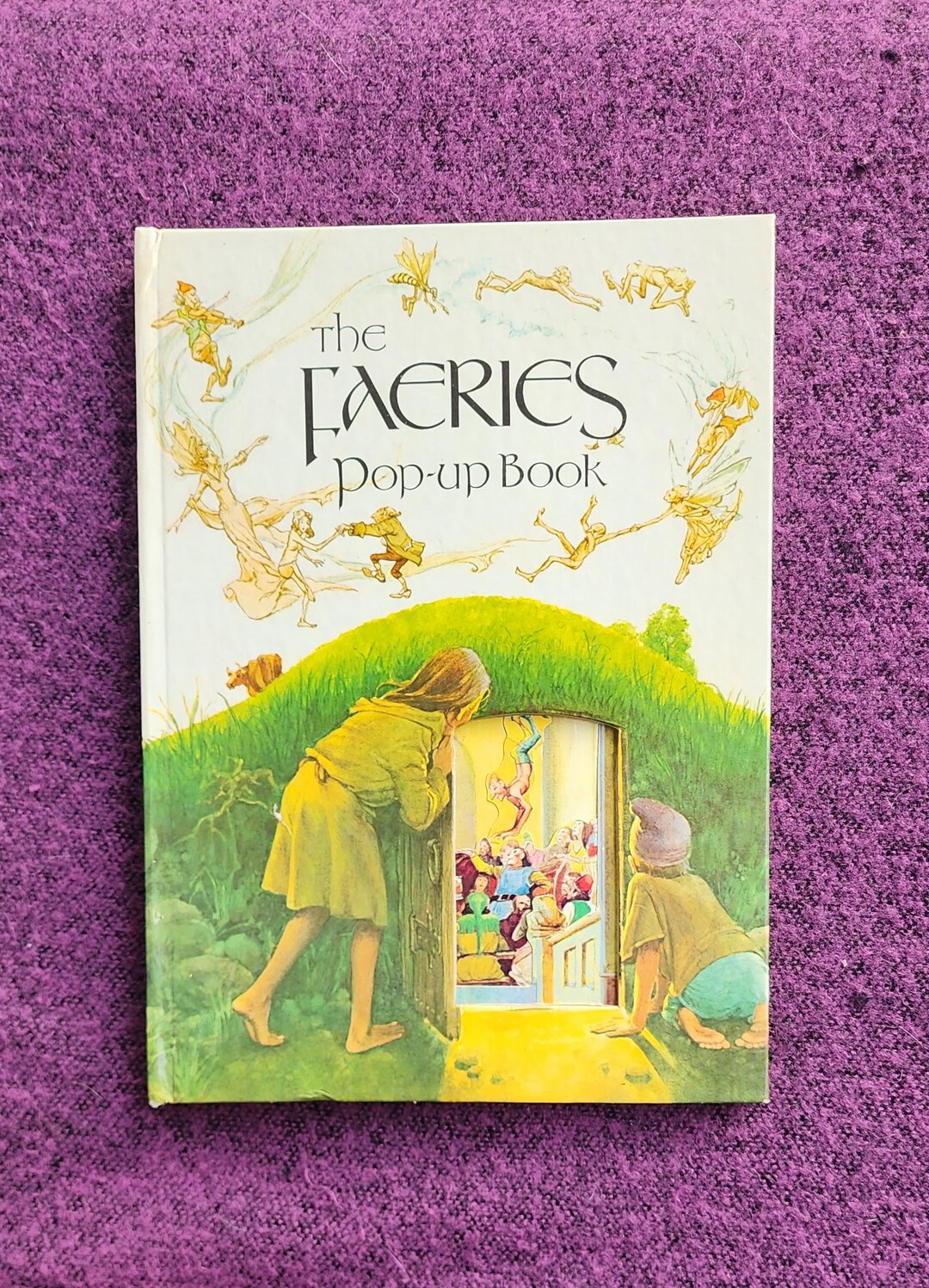 The Faeries Pop-up Book. Alan Lee. Brian Froud. 1980. Fantasy Artwork ...