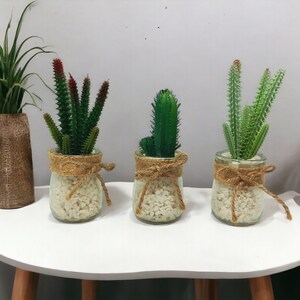 May include: Three small potted cactus plants in glass containers with hessian twine around the top. The containers are filled with white decorative stones. The plants are on a white table with wooden legs.