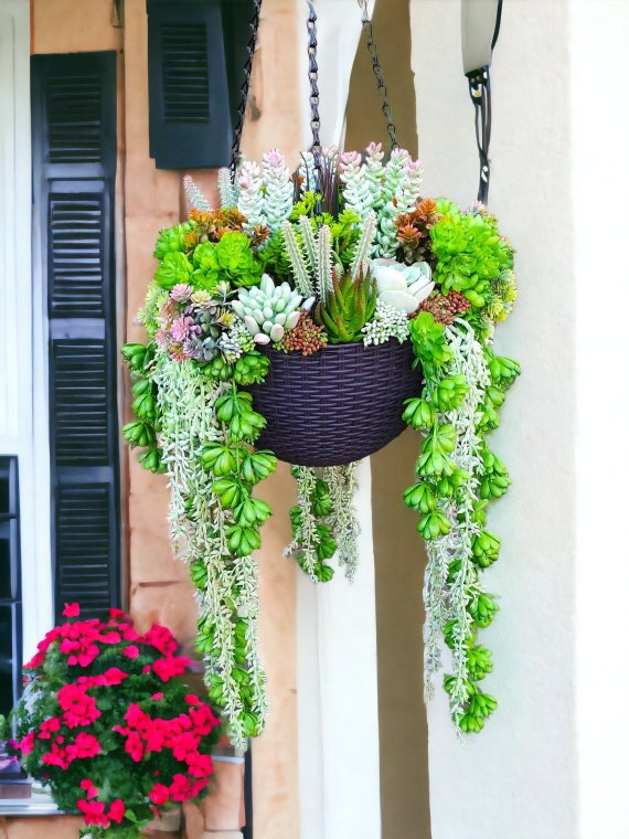 Planta colgante suculenta falsa/planta artificial/verde/floral/pared/decoración  de boda en el hogar-verde -  México