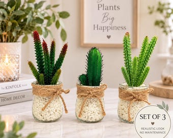 Set of 3 Artificial Succulents in Glass Pots, Rustic White Stone Decor