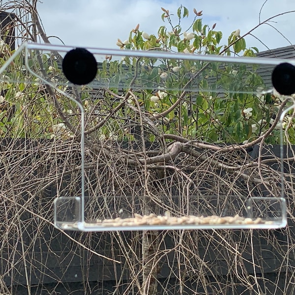 Window Bird Feeder Etsy