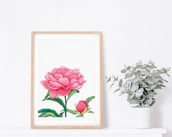 Peony Flower Print, Floral Art Print, Botanical Wall Art, Flower Art, Peony Printable, Flower Poster, Flower Wall Decor, Plant Art Print