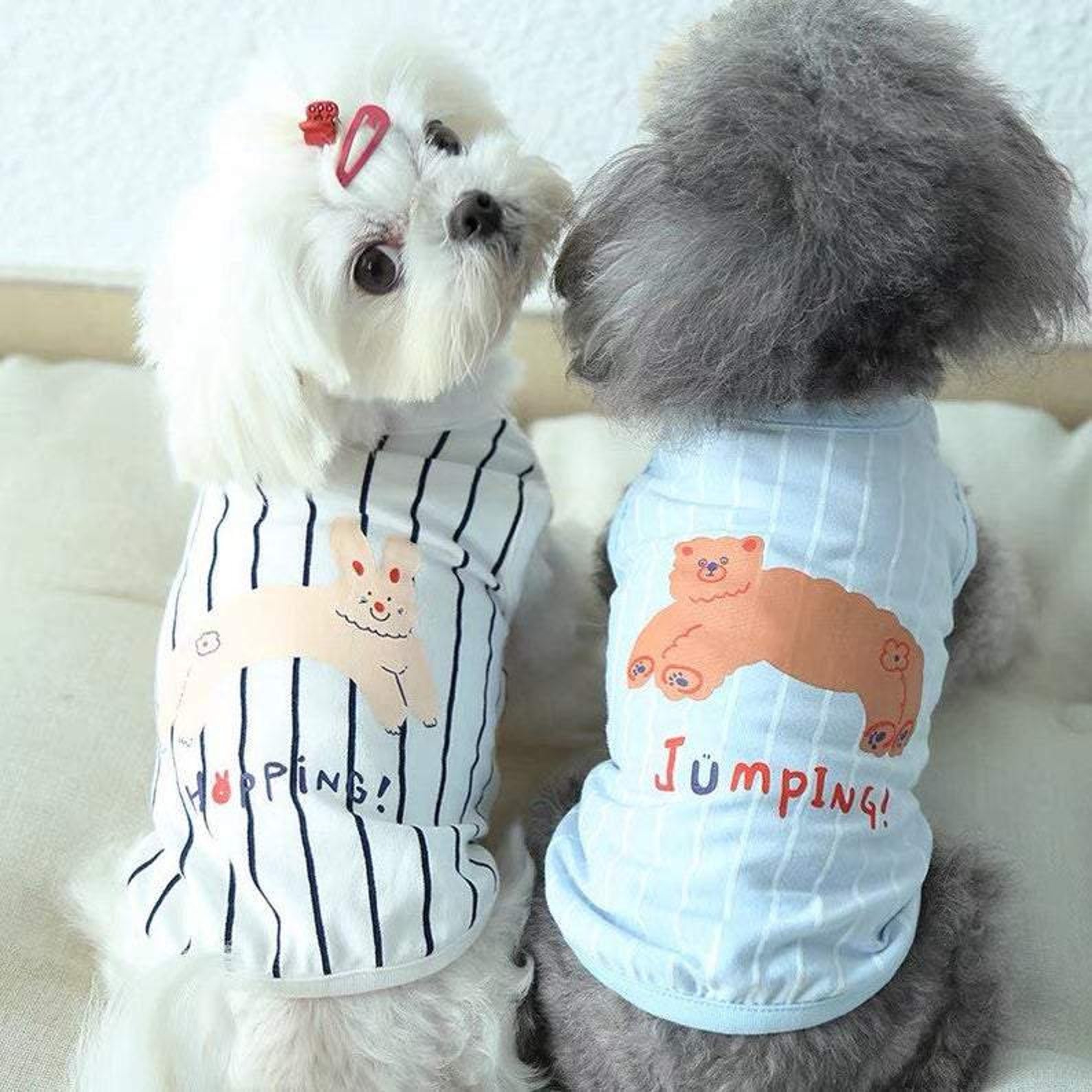 Spring Summer Dog Clothes For Small Medium Dogs Puppy Etsy